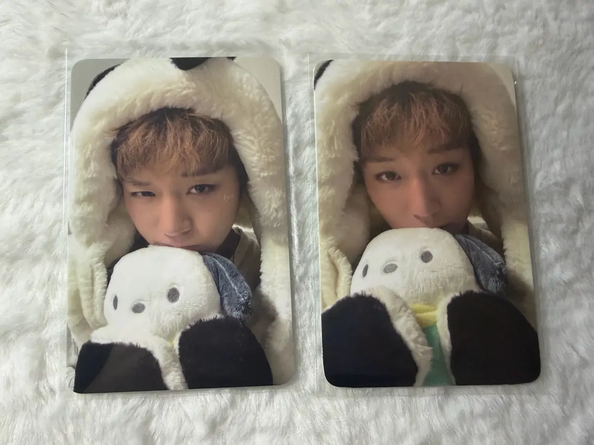 박지훈 reflect 비트로드 포차코 포카 일괄
