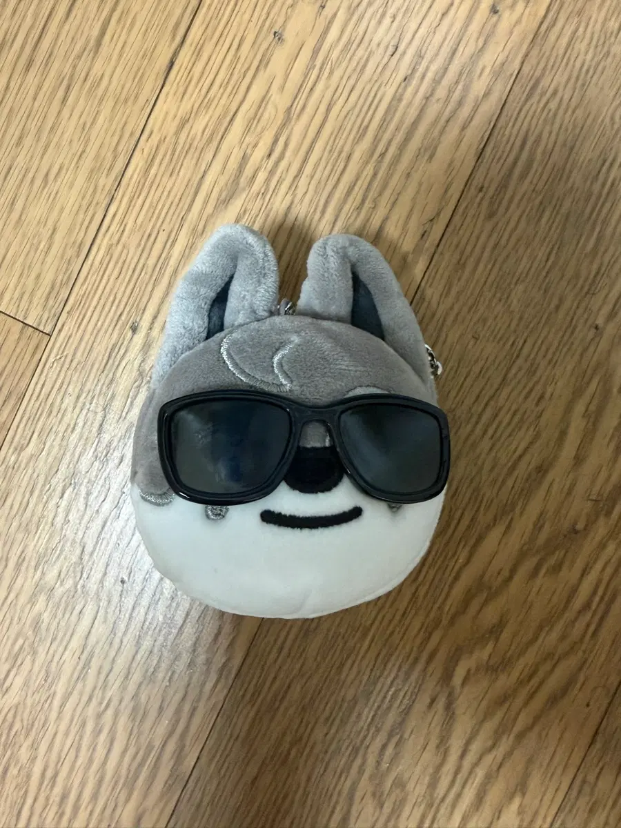 스키즈 일본엠디 선글라스 스키주