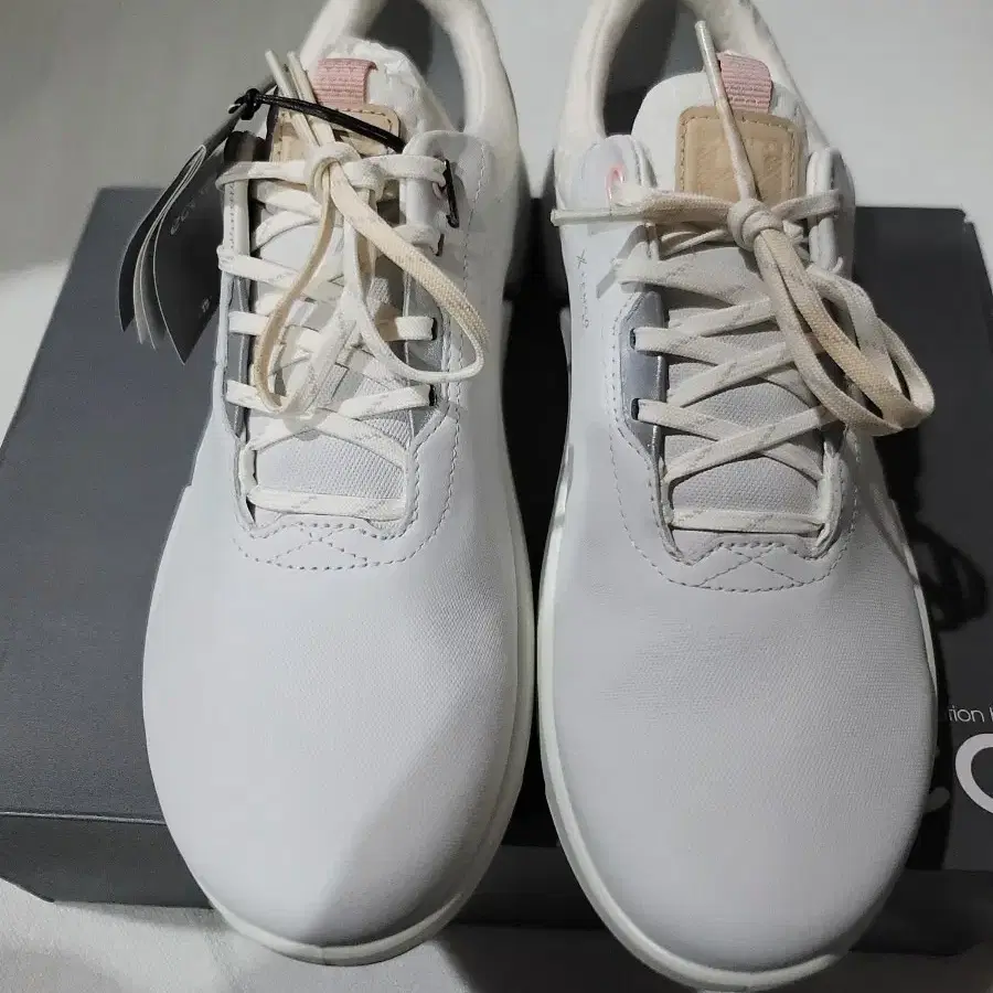 에코108203 BIOM H4 우먼스골프화(59044)
