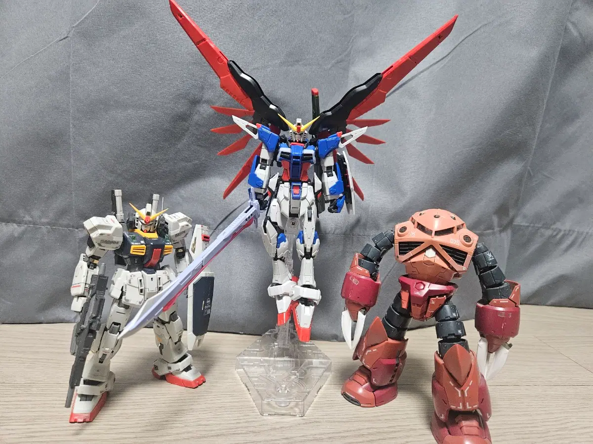 rg mk2,즈고크,데스티니 가조립