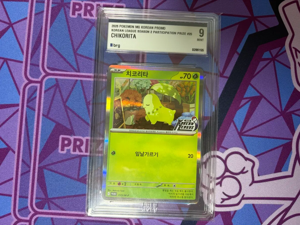 포켓몬카드 한글판 코리안리그 프로모 치코리타 BRG9
