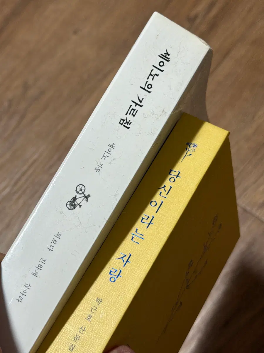 책판매 (세이노의 가르침, 당신이라는 자랑)