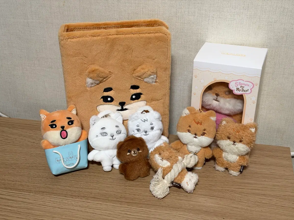 데이식스 엠디 양도