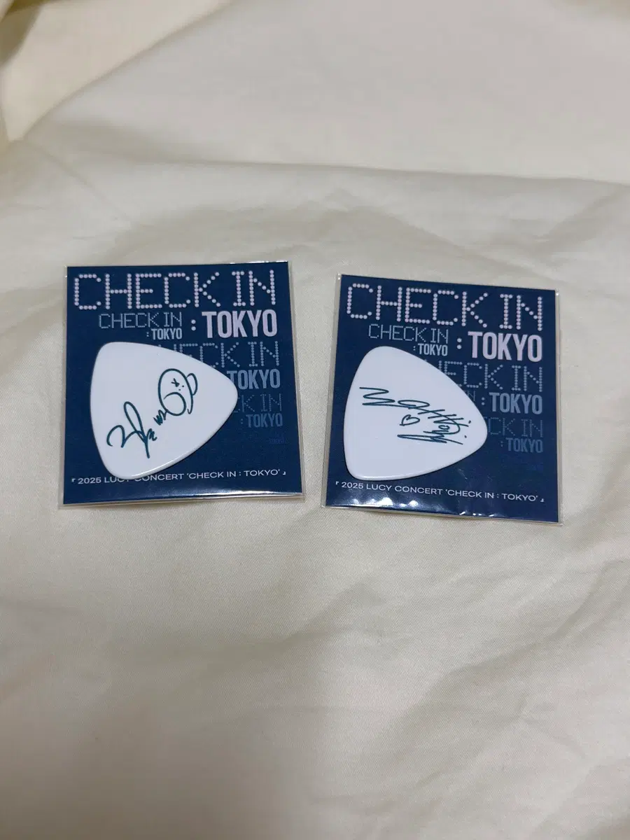 루시 도쿄 신예찬 조원상 피크