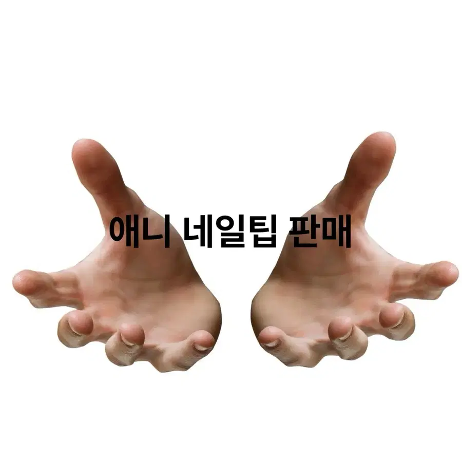 애니 네일팁 판매