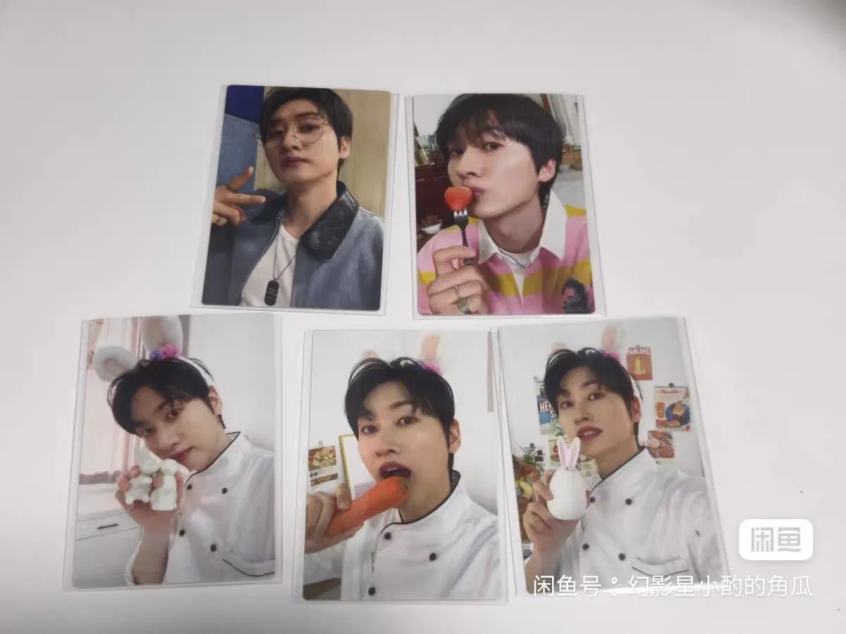 예판 슈퍼주니어 일본 포카 일괄