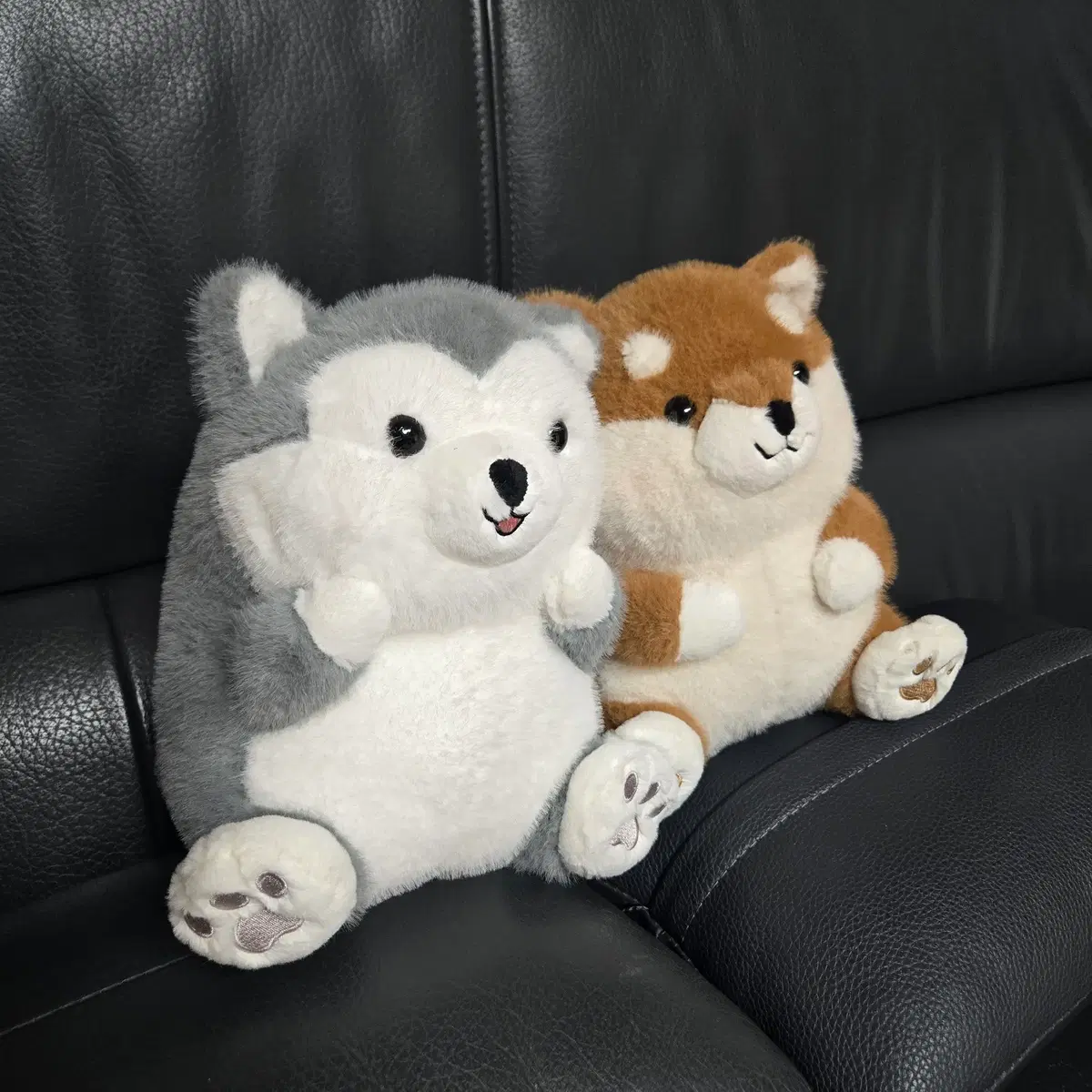 일괄) 강아지 인형 포카포카짱