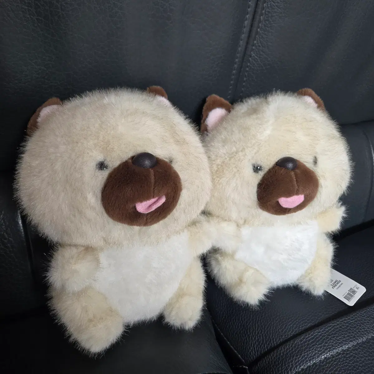 복실복실 강아지 인형