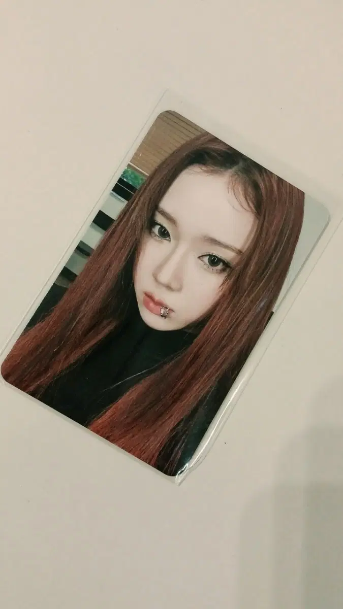 윈터 포카 판매
