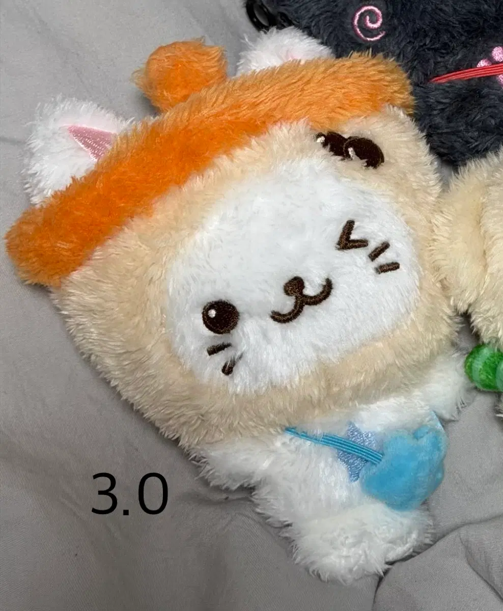 위시돌 버블냥
