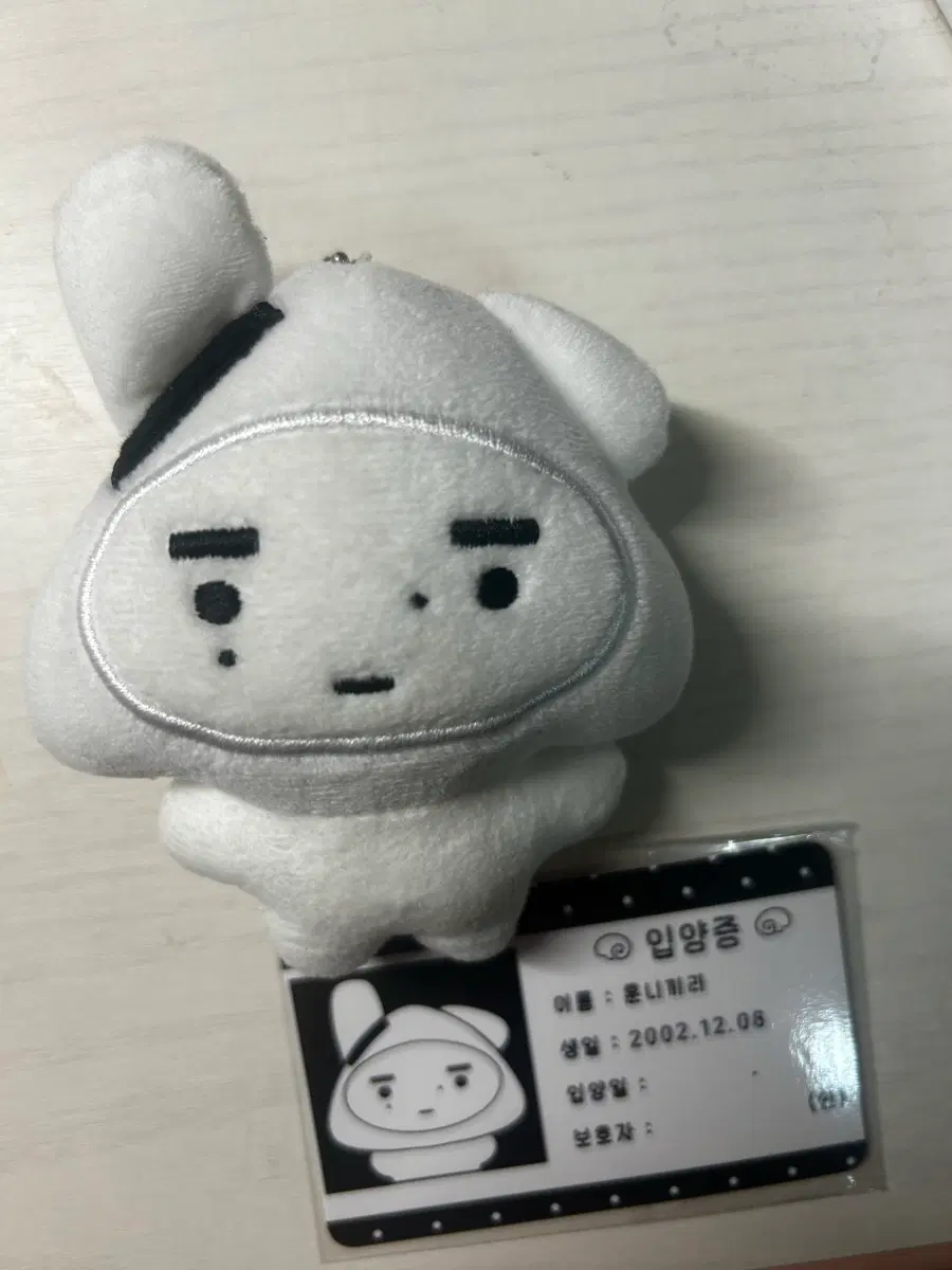 엔하이픈 성훈 훈니끼리 인형