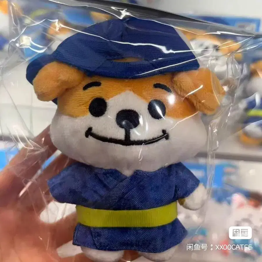 예판 엔하이픈 일본 인형