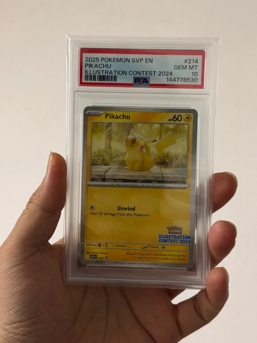 포켓몬 북미 하품츄 psa 10
