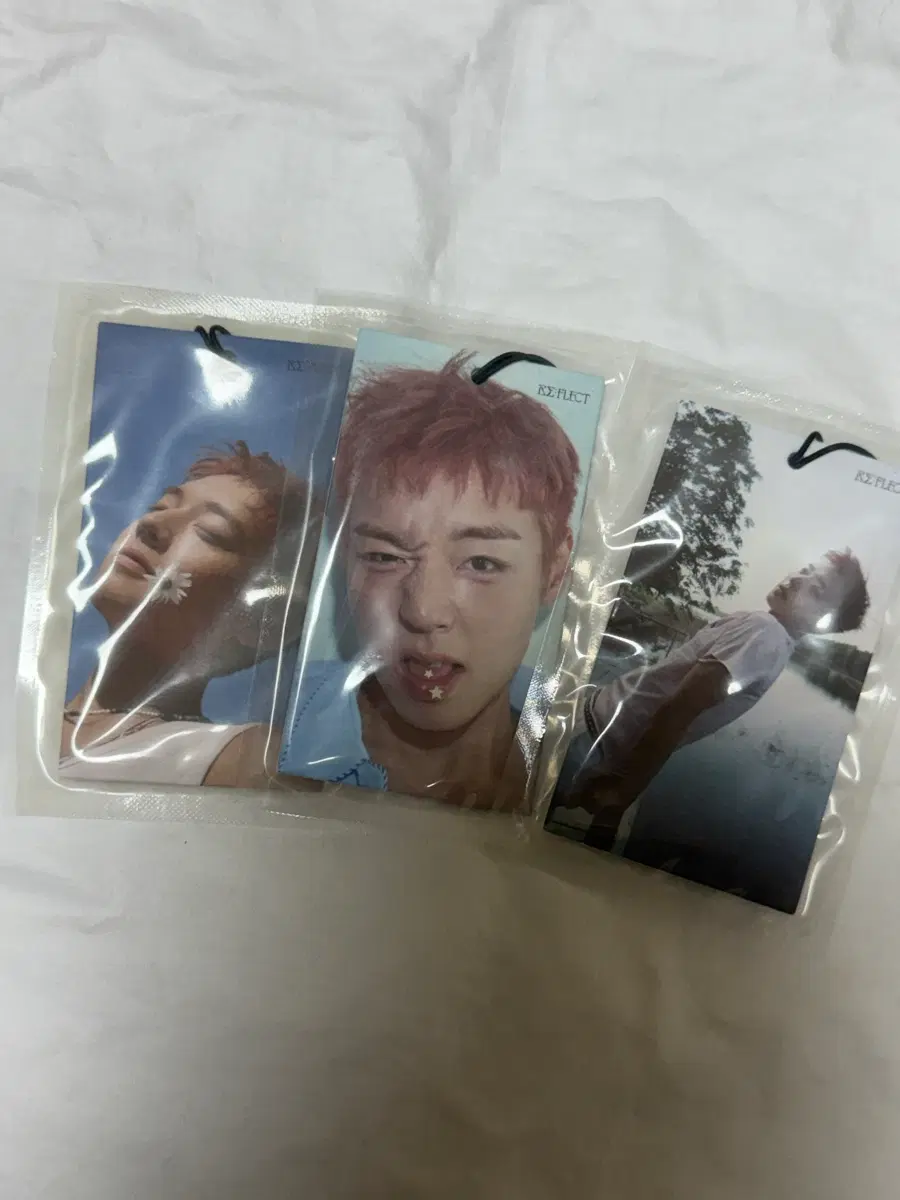 박지훈 팬콘 엠디 포토퍼퓸세트