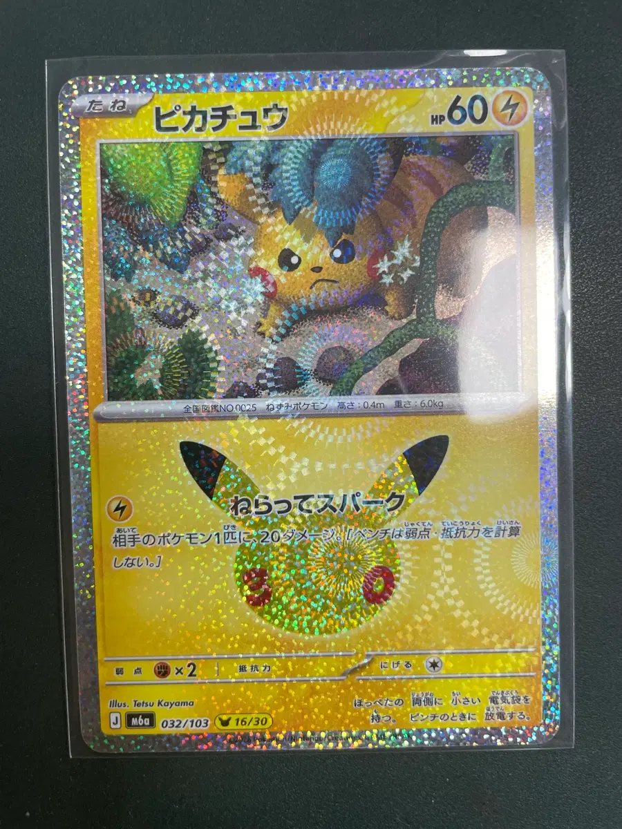 포켓몬 30주년 일판 피카츄 16번