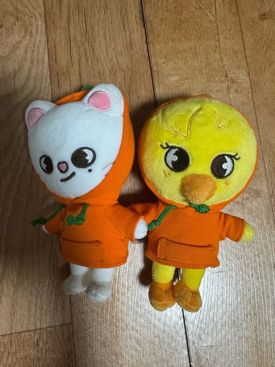 [단순보관/외출X] 스키주 오리지널 제주 감귤 후드 지니렛 뽁아리