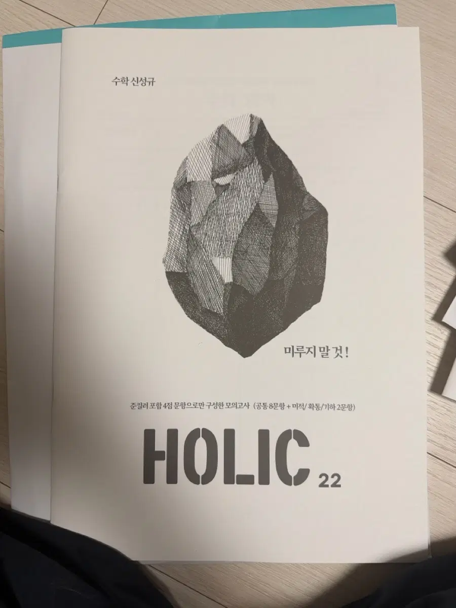 2027 신성규 홀릭 하프모의고사 22회