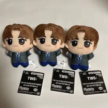TWS 투아스 SD 인형 영재 3개 세트 택 포함 미사용 새상품