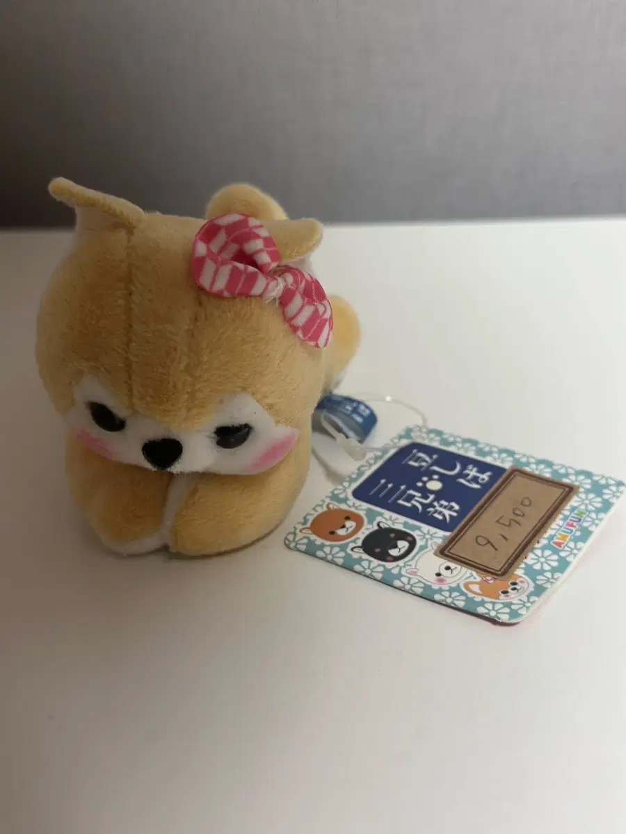 시바견 인형 집게