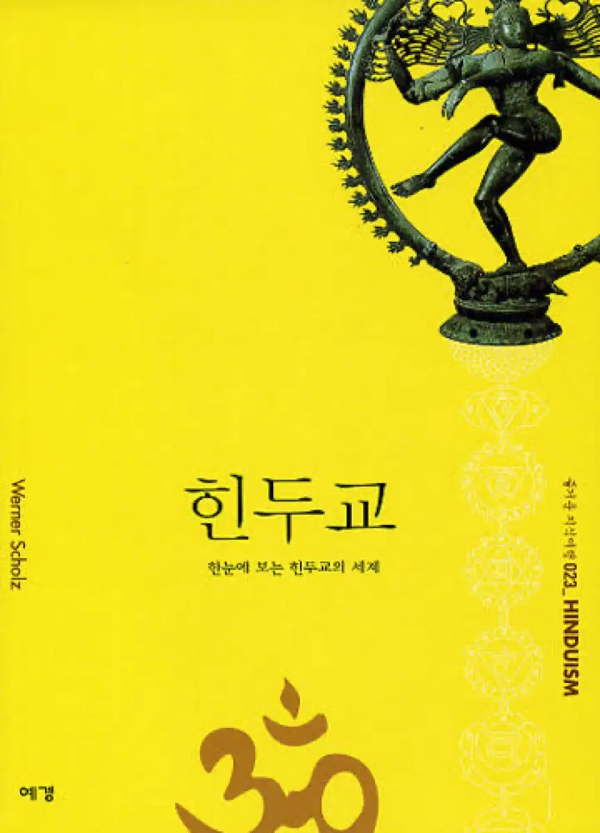 한눈에 보는 힌두교의 세계 한글 도서 서적 힌두교 인도 신화 종교