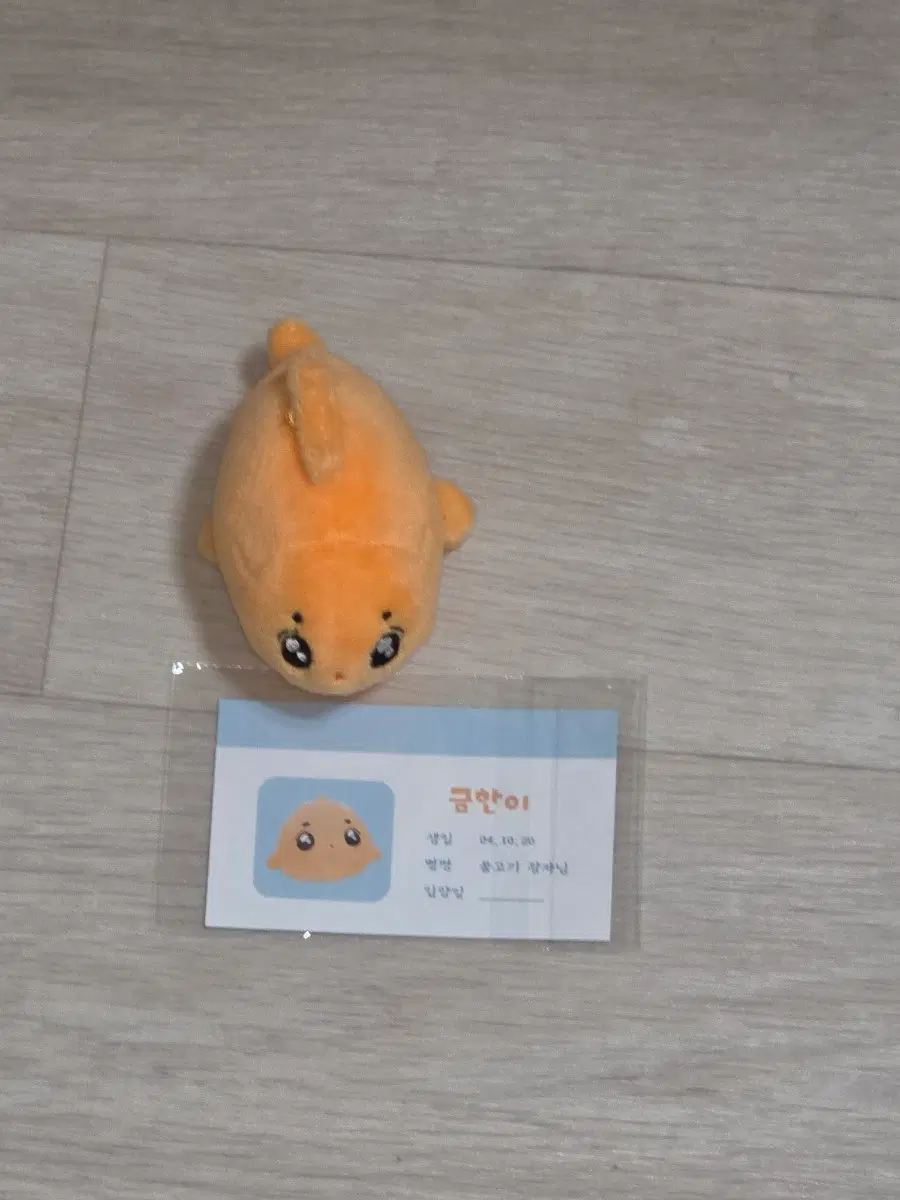 보넥도 이한 금한이 인형 판매합니다