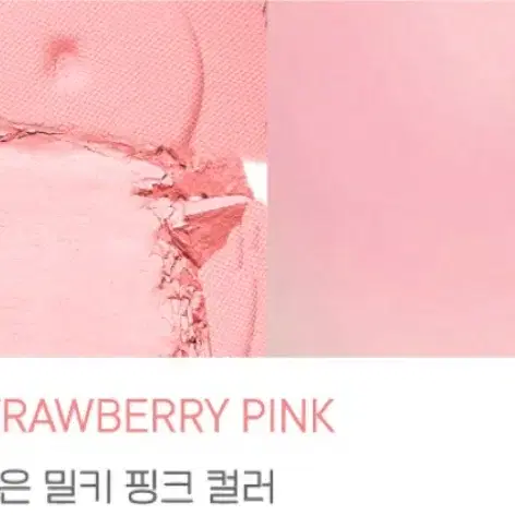 페리페라 맑게 물든 선샤인 치크 27딸기수확해