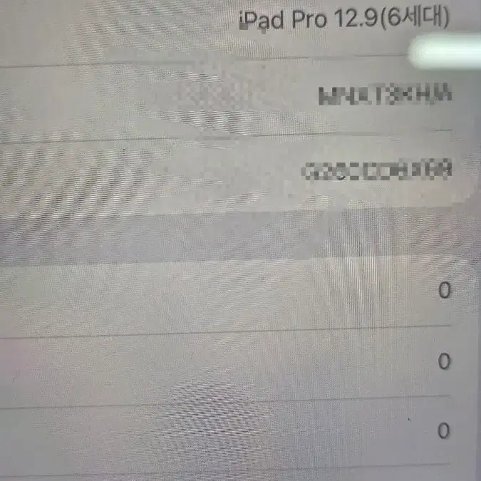아이패드 프로 6세대 12.9 실버 wifi 256gb