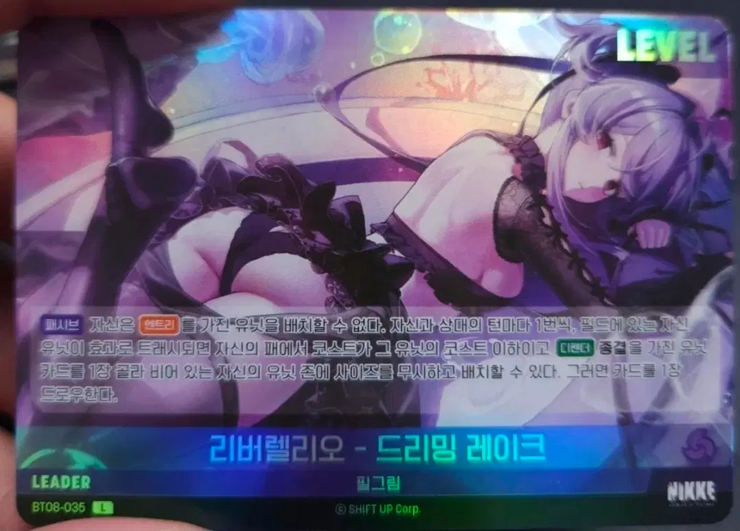 니벨아레나 니케 리버렐리오 드리밍 레이크 리더카드