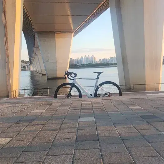 자바 실룰로 6 판매합니다