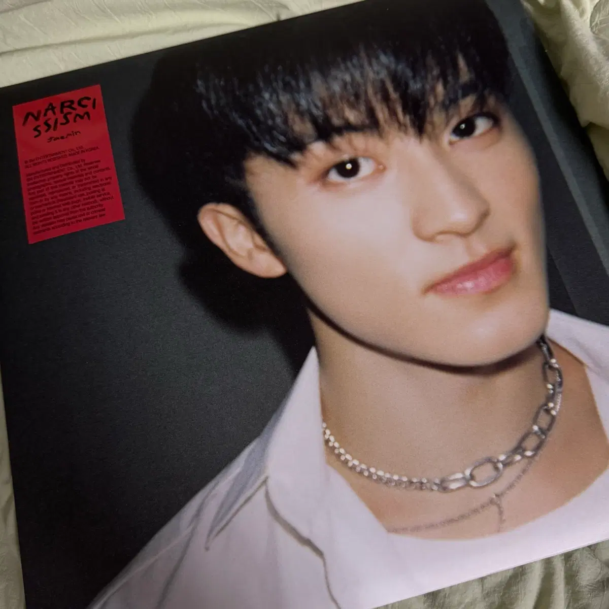 나르시시즘 마크 lp