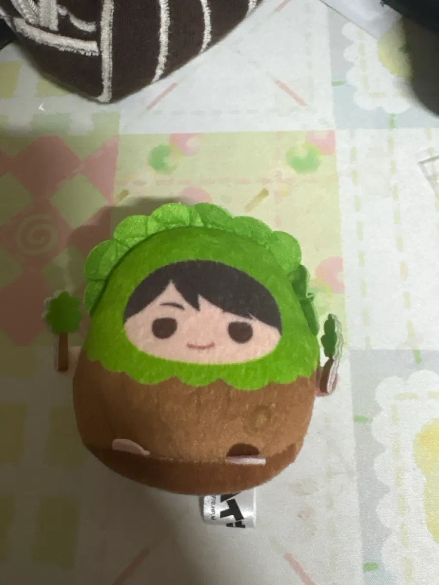 오이카와 테노린즈