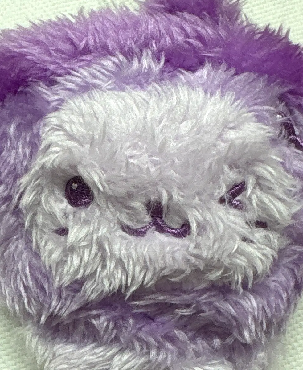 컬러위시돌 버블냥 보라색