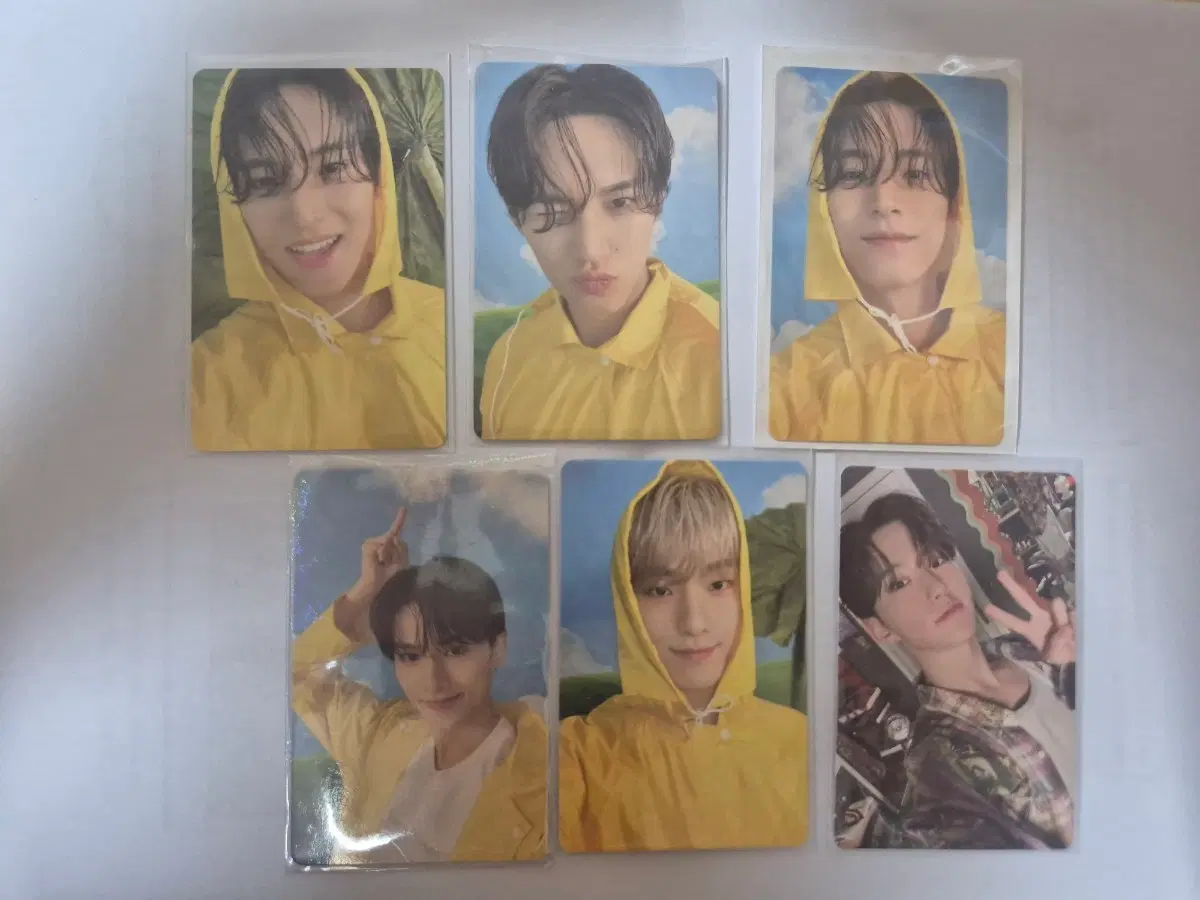 세븐틴 포카