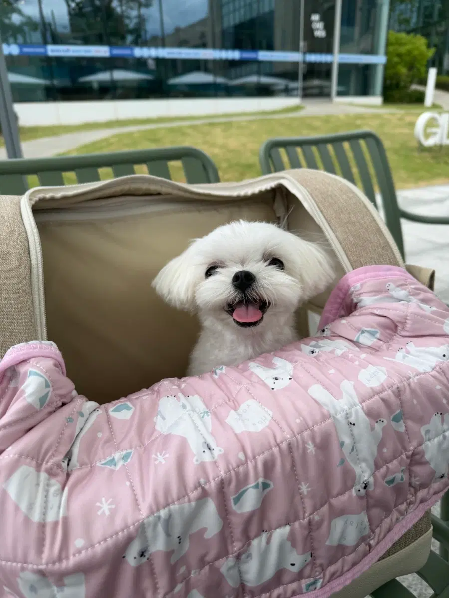 시계건