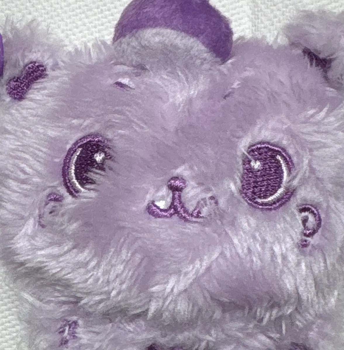 컬러위시돌 쿠리 보라색