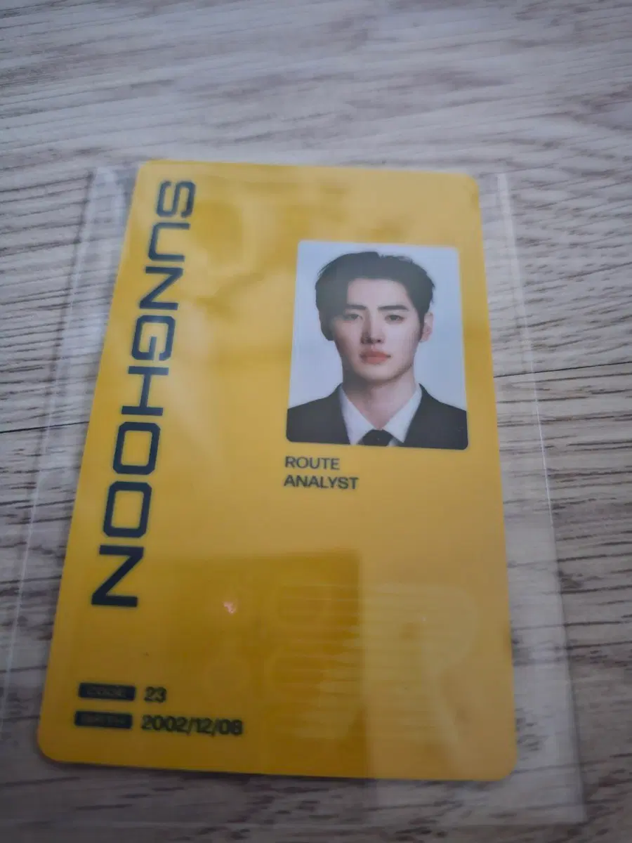 교환) 엔하이픈 더신 블리스 ID 카드 교환