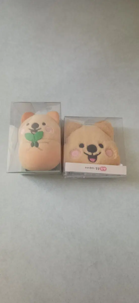 쿼카 인형