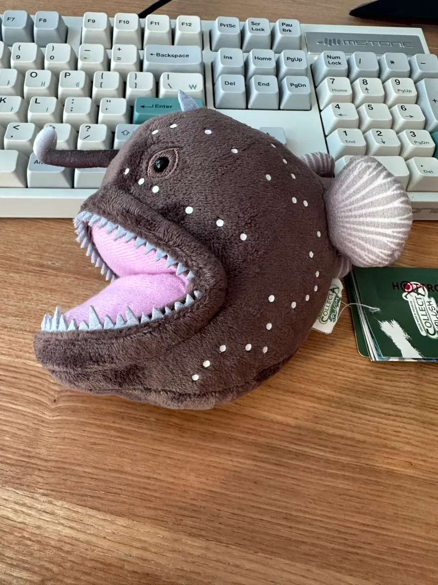 colloecta plush 컬렉타플러시 심해어 초롱아귀 인형