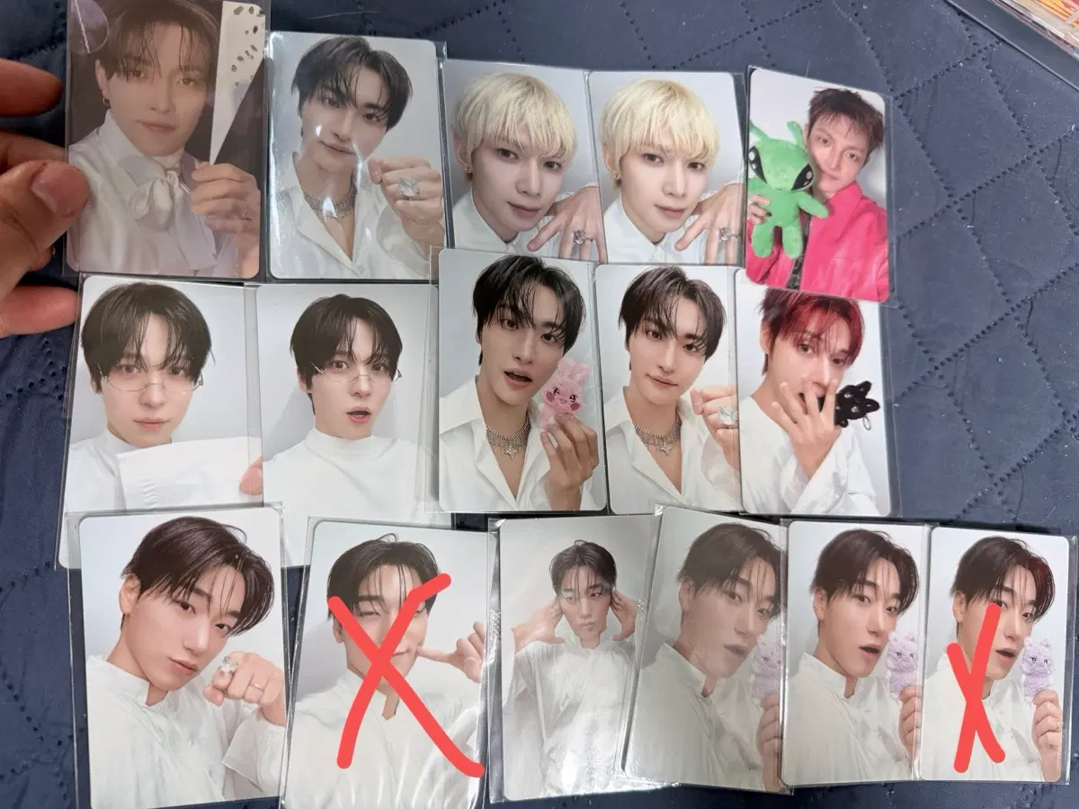 애니티즈 입장,게임, 금액특전 포카 일괄양도합니당