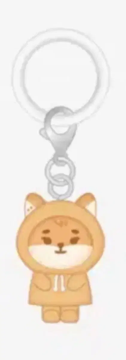 데이식스 메지루시 미니참 케