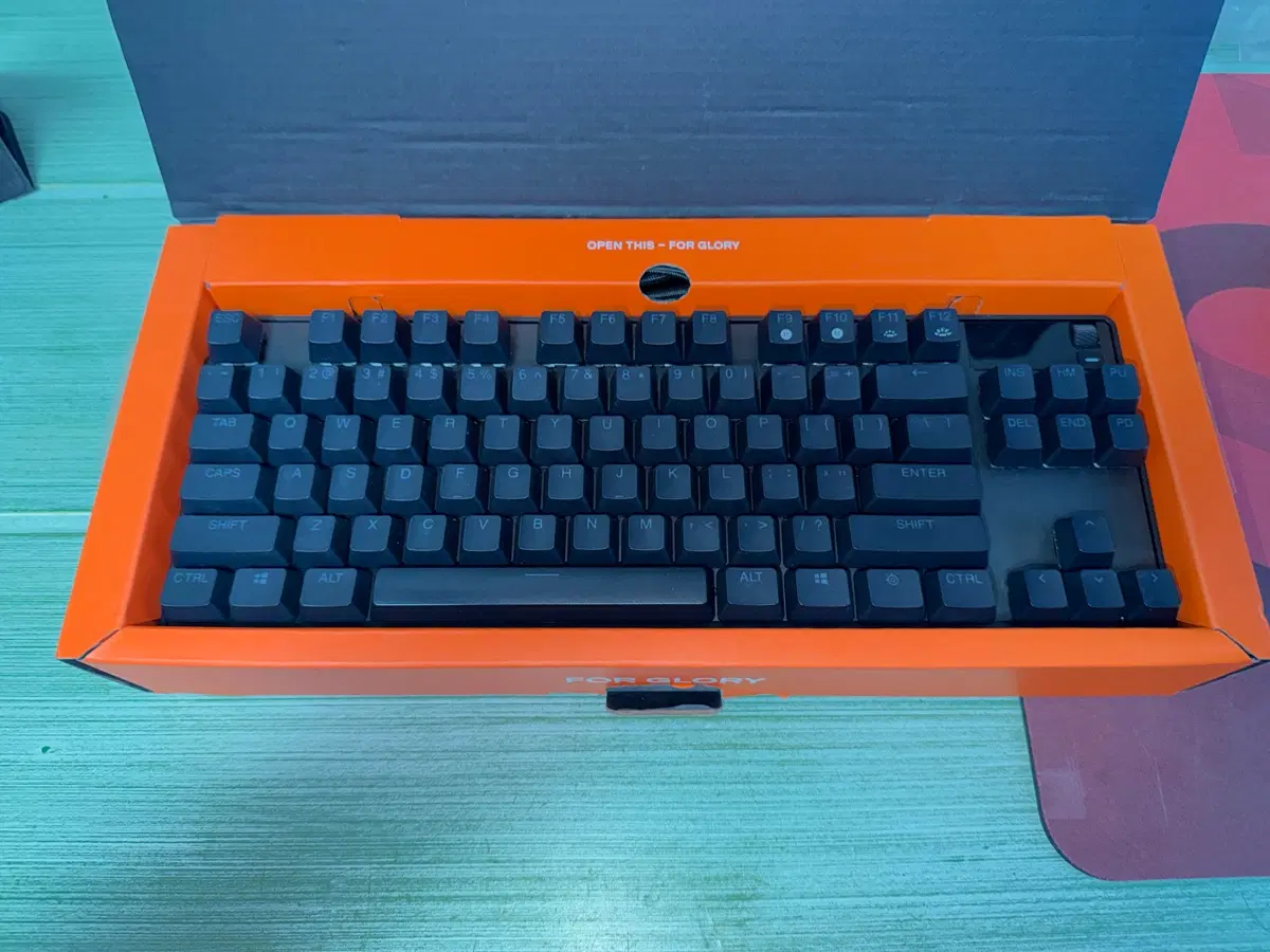스틸시리즈 Apex Pro TKL (US)