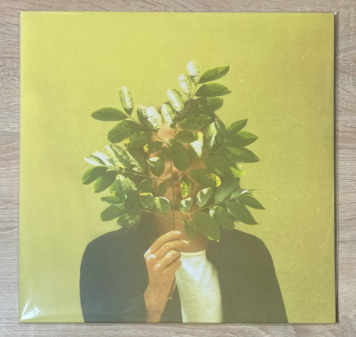 FKJ - French Kiwi Juice 한정반 LP 판매