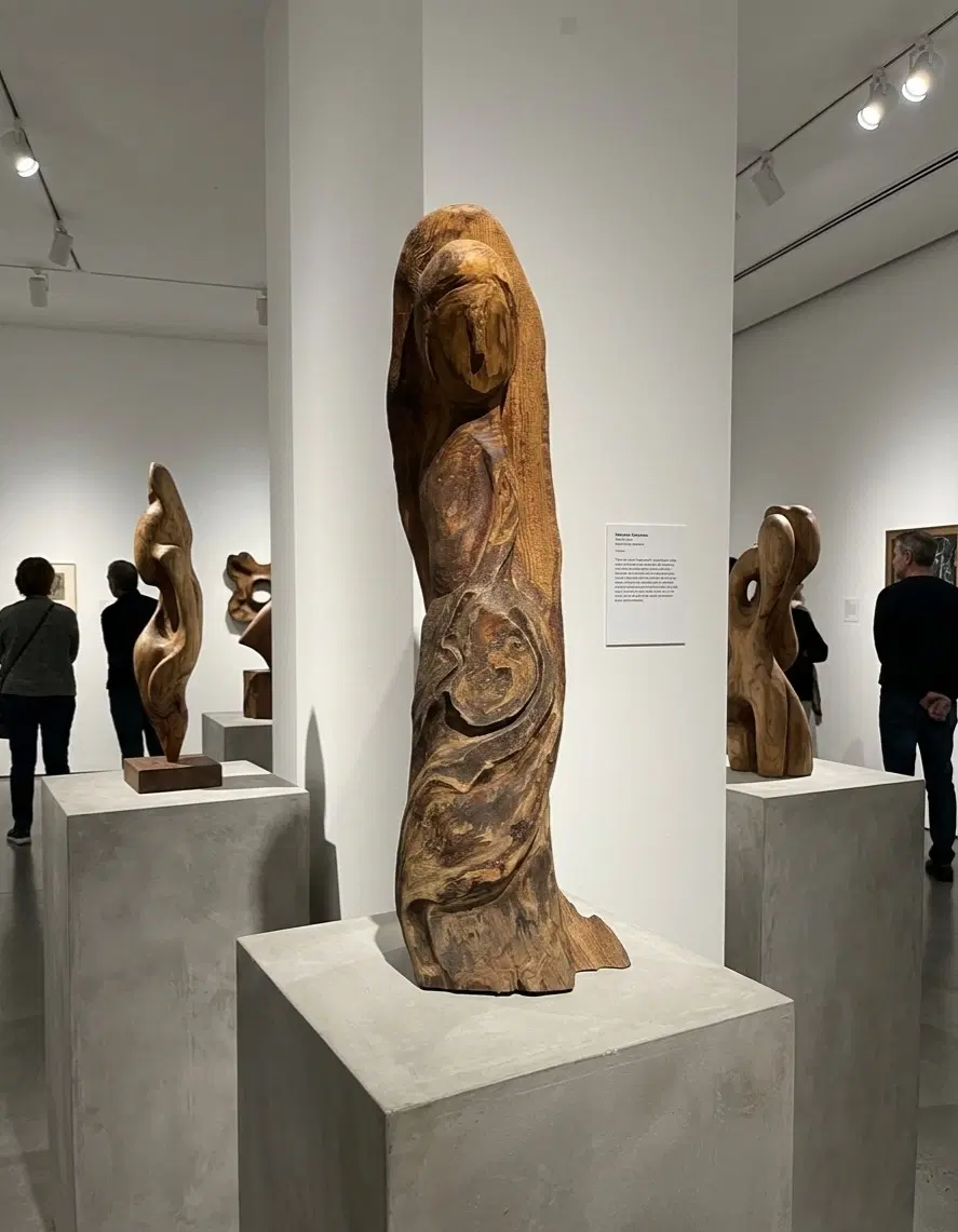 관솔 조선토종 적송 60cm 성모상