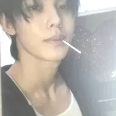 코르티스 성현 그린그린포카