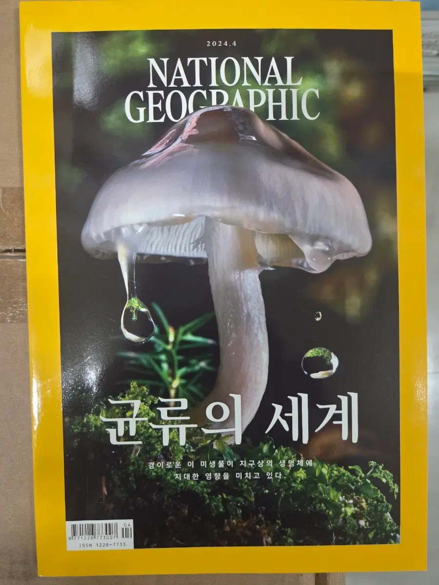 내셔널지오그래픽 2024년 4월호 균류의 세계