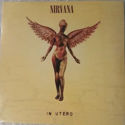 [리이슈엘피] Nirvana   In Utero