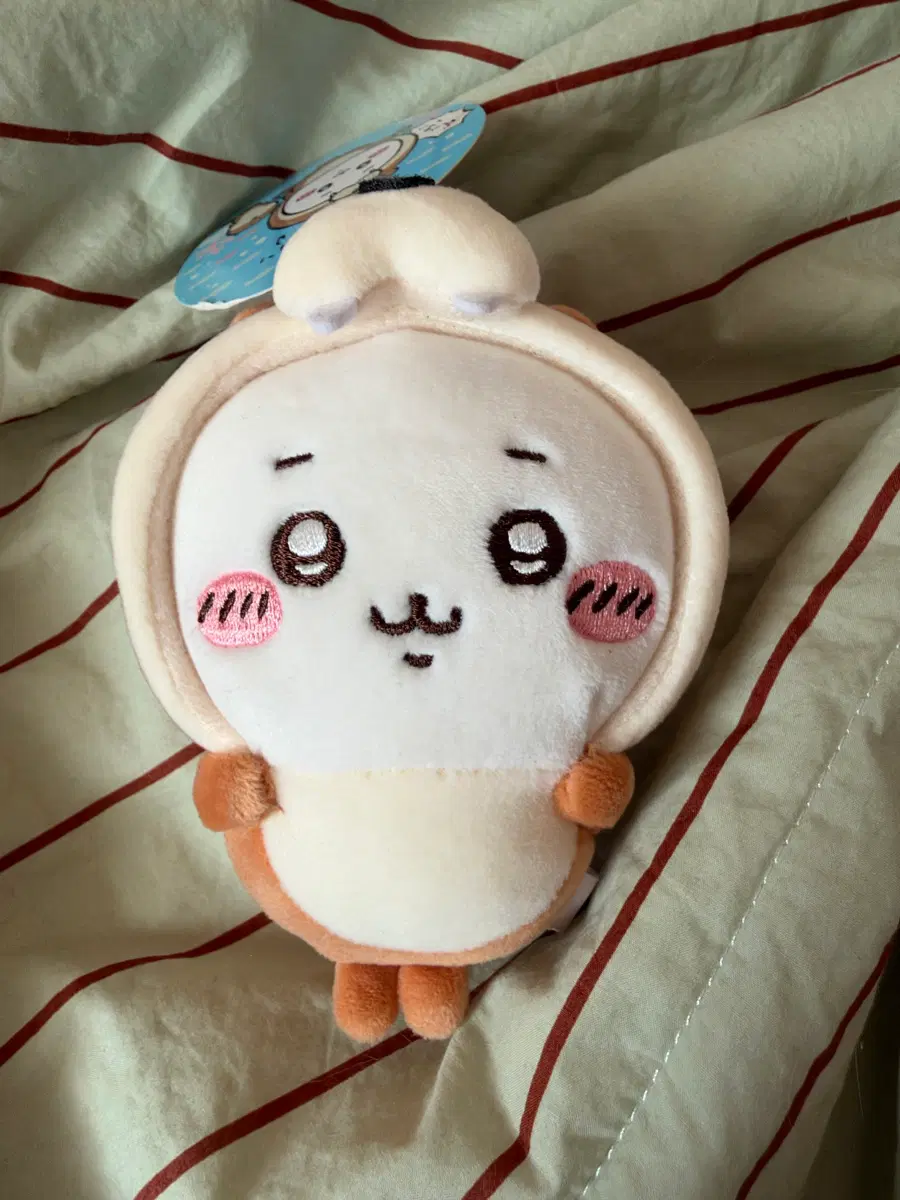 먼작귀 수족관 수달 치이카와 마스코트