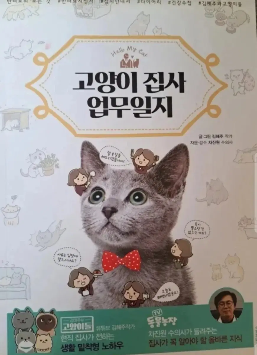 만화 에피소드 고양이 집사 업무보고