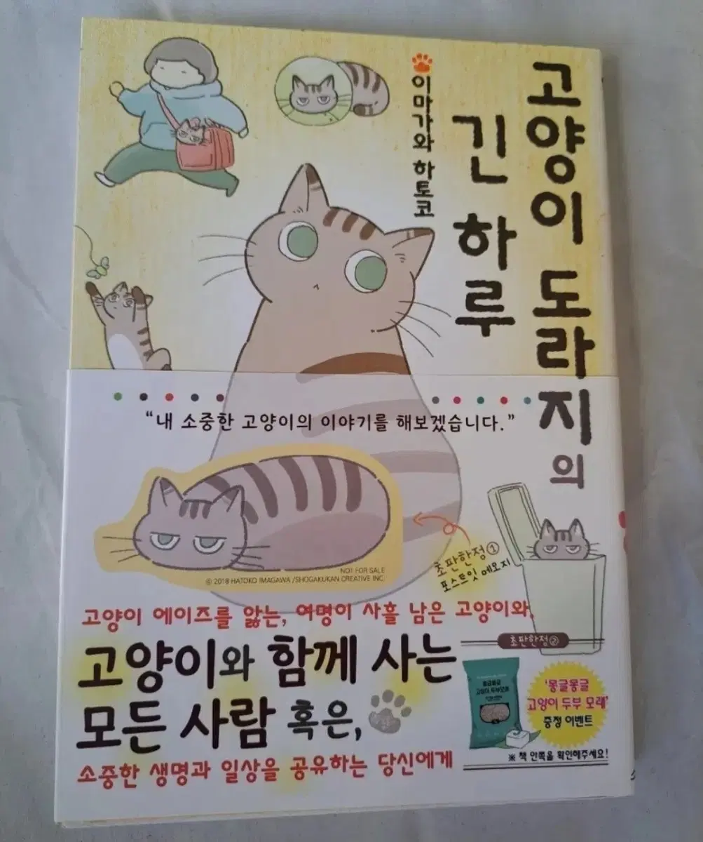 만화책 고양이 도라지의 긴 하루