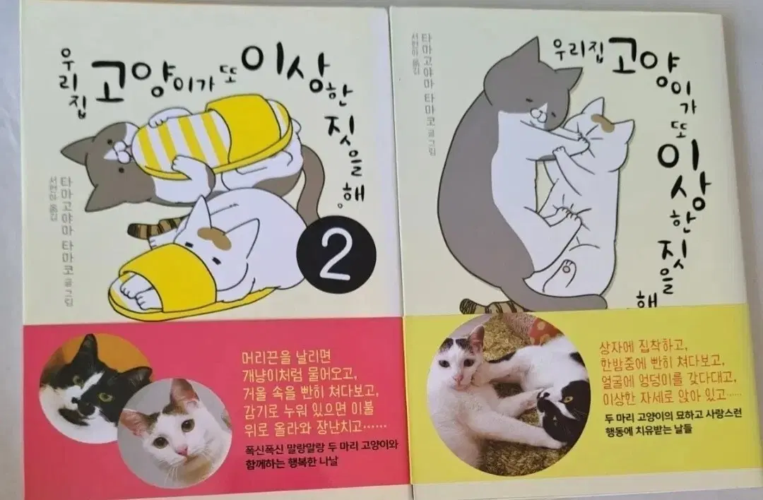 만화책 우리집 고양이가 또 이상한 짓을 해 2권 일괄